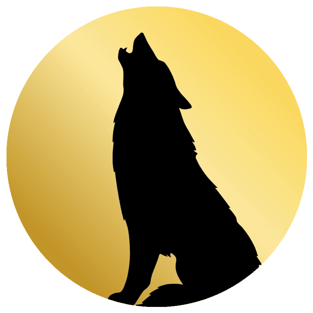 Logo di Wolf Investigazioni